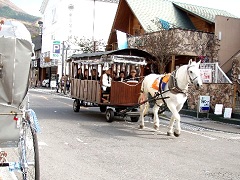 辻馬車は人気