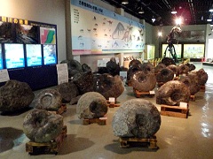 三笠の博物館はアンモナイトが圧巻