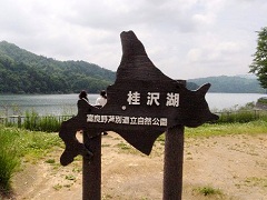 桂沢湖の湖底となったところで恐竜の化石が発掘された