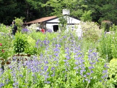 風のガーデンの中心となった小屋