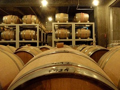 熟成中のワイン