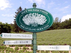 花畑で知られる富田ファーム