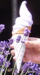 ラベンダー・ソフトクリーム