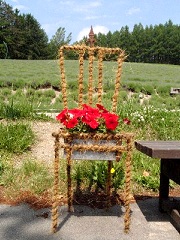 ちょっとお洒落な椅子の上の花