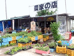 国道沿いの店。「ジャガイモを食え」と勧められた