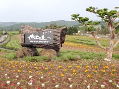 ぜるぶの丘は人気スポットの一つ