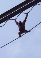 真ん中まで来たぞ!