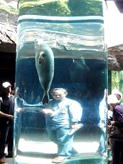 円筒を囲んでアザラシを見る