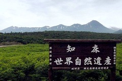 フレペの滝近くからの知床連山