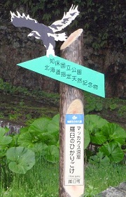 マッカウス洞窟の標示