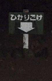 標示はあるが見えなかったヒカリ苔