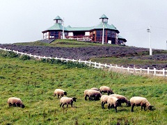 TlC2