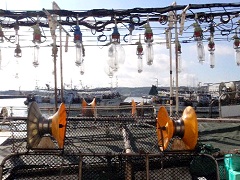 稚内漁港のイカ釣り船