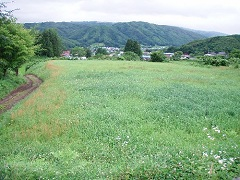 デンデラ野からは村の屋根が見える