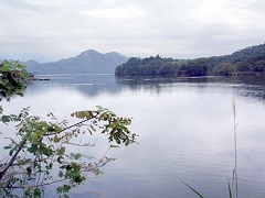 海とは続いているが、湖水のような久美浜湾の奥