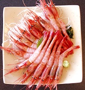 漁にもよるが甘エビは安かった