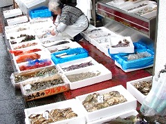 魚屋の店先には豊かな有明の幸