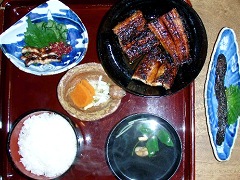 鰻と右は有明海名物のムツゴロウ