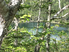 峠道に閑かで小さな池も(然別付近)