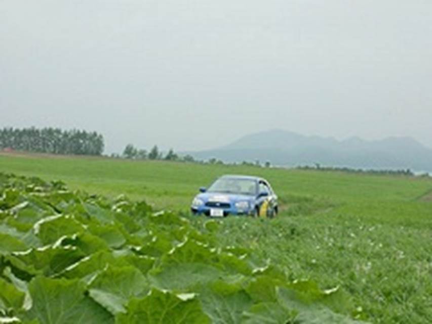 広大な畑の中を足寄へと向かう