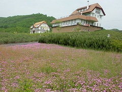 足寄湖道の駅。チーズ工場でもあった