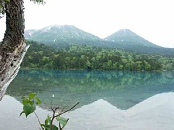 xijƈxmiEjIlg[ɉe𗎂Ƃ