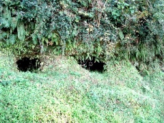 いわさき横穴古墳群。古要神社にも近い