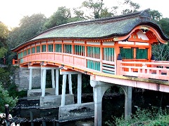 F_{̌B͐傾a܂ł͕\Q