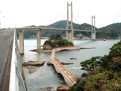 ĎqƉɉ˂鋴̉ɂ͕ٓVւ̗V