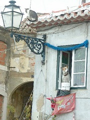 犬は窓に、猫は屋根に、サンタは壁に。こんな家もあった