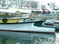 潮の流れが速いからか、今治の漁船は舳先の下も鋭い波切りがある