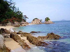 国道196号線今治街道の景観