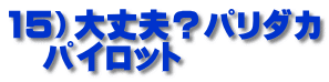 15）大丈夫？パリダカ 　パイロット