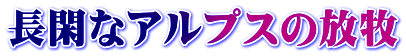 長閑なアルプスの放牧