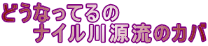 どうなってるの 　　ナイル川源流のカバ