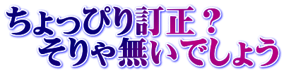 ちょっぴり訂正？ 　そりゃ無いでしょう