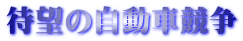 待望の自動車競争