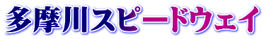 多摩川スピードウェイ