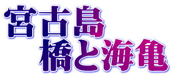 miyakojima hashitokame