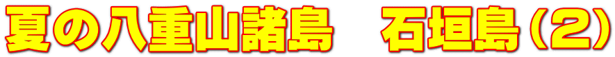 夏の八重山諸島 石垣島(2)